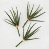 Faux Snake Grass Pick - Set Of 3 -Home Decor Shop 209204912 1 88389.1690278983.386.513
