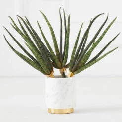 Faux Snake Grass Pick - Set Of 3 -Home Decor Shop 209204912 67761.1690278982.386.513