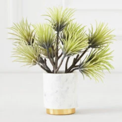 Faux Aeonium Succulent Pick - Set Of 3 -Home Decor Shop 209207468 91232.1690278981.386.513