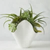 Coral Vase -Home Decor Shop webimage 120218787 jpg