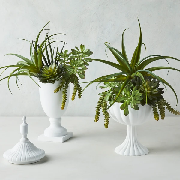 Lina Collection 3 Lina Collection