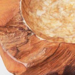 Organic Capiz Bowl -Home Decor Shop webimage 160160778 DTL