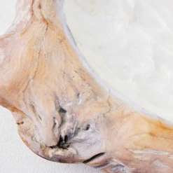 Organic Capiz Bowl -Home Decor Shop webimage 160611797 DTL