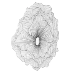 Large Poppy Flower Wall Decor - Silver/Black -Home Decor Shop webimage 162120419 1 jpg