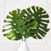 Split Leaf -Home Decor Shop webimage 162948171