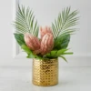 Protea In Pot - Blush 1 Protea In Pot - Blush -Home Decor Shop webimage 168115695 jpg
