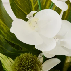 Phalaenopsis Leaf In Glass -Home Decor Shop webimage 168192665 dtl2