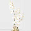 White Orchid Stem - Set Of 3 1 White Orchid Stem - Set Of 3 -Home Decor Shop webimage 168678532