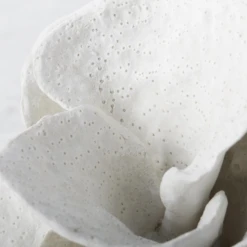 Coral Bookends -Home Decor Shop webimage 186978354 2 jpg 1