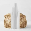 Lion Head Bookends -Home Decor Shop webimage 186978356 jpg