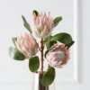 Protea Queen Spray - Set Of 3 2 Protea Queen Spray - Set Of 3 -Home Decor Shop webimage 200023570 jpg