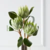 Protea Queen Spray - Set Of 3 1 Protea Queen Spray - Set Of 3 -Home Decor Shop webimage 200023713 jpg