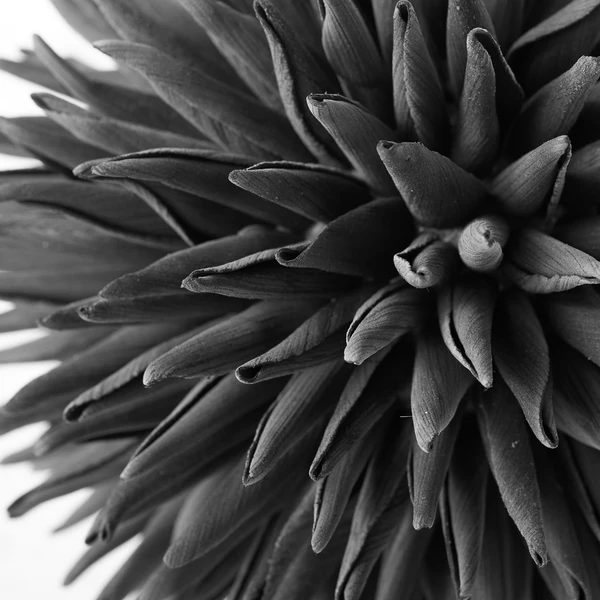 Faux Allium Sphere 4 Faux Allium Sphere - Image 2