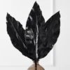 Canna Leaf - Set Of 3 -Home Decor Shop webimage 200182370 jpg