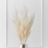 Pampas Grass - Set Of 3 -Home Decor Shop webimage 200204424 jpg