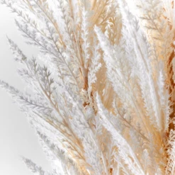 Pampas Grass - Set Of 3 -Home Decor Shop webimage 200204424 1 jpg