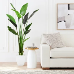 Faux Palm Tree -Home Decor Shop webimage 206176637 alt5 Faux Palm Tree rv