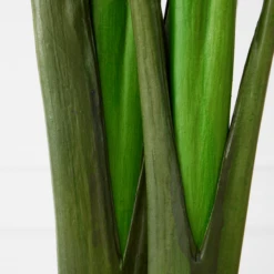 Faux Palm Tree -Home Decor Shop webimage 206176637 dtl