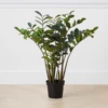 Zamioculas Tree -Home Decor Shop webimage 206448861 jpg 1