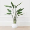 Faux Potted Water Canna -Home Decor Shop webimage 207190249