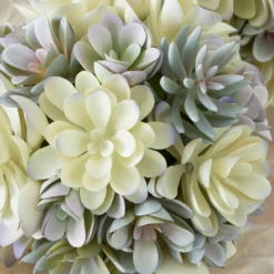 Faux Succulent Sphere -Home Decor Shop webimage 207191139 DTL