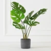 Faux Monstera In Pot 2 Faux Monstera In Pot -Home Decor Shop webimage 207203517
