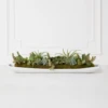 Succulent Assortment In Wood Tray -Home Decor Shop webimage 207999710