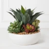 Succulent Assortment In Bowl -Home Decor Shop webimage 207999711