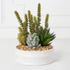 Succulent Assortment In Bowl