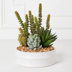 Succulent Assortment In Bowl