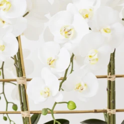 Orchid Trio With Granite Slab -Home Decor Shop webimage 207999715 dtl2