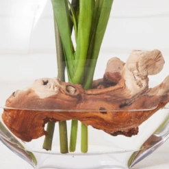 Cymbidium In Glass Vase -Home Decor Shop webimage 207999720 dtl2