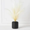 Plume In Kendall Pot -Home Decor Shop webimage 207999722