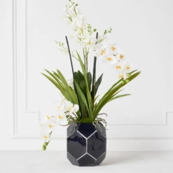 Orchids In Glass Bowl 35 Orchids In Glass Bowl -Home Decor Shop webimage 207999723