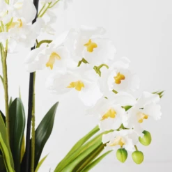 Orchids In Glass Bowl 36 Orchids In Glass Bowl -Home Decor Shop webimage 207999723 dtl1