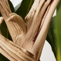 Fiddle Leaf Branches In Bowl -Home Decor Shop webimage 207999724 dtl1