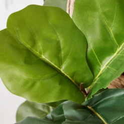 Fiddle Leaf Branches In Bowl -Home Decor Shop webimage 207999724 dtl2