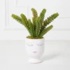 Selfie Succulents In Face Planter 2 Selfie Succulents In Face Planter -Home Decor Shop webimage 207999751