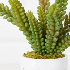 Selfie Succulents In Face Planter -Home Decor Shop webimage 207999751 dtl1