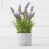 Lavender In Grey Pot -Home Decor Shop webimage 207999958