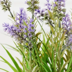 Lavender In Grey Pot -Home Decor Shop webimage 207999958 dtl2