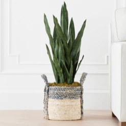 Mother In Law's Tongue In Basket -Home Decor Shop webimage 207999974 alt1