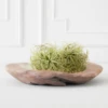 Faux Airplant Sphere -Home Decor Shop webimage 209192558