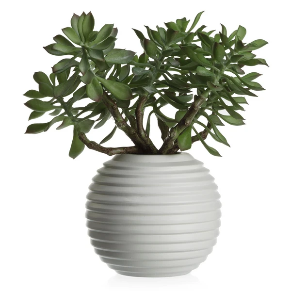 Faux Sedum Succulent Pick - Set Of 3 3 Faux Sedum Succulent Pick - Set Of 3