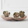 Faux Echeveria Succulent Pick 2 Faux Echeveria Succulent Pick -Home Decor Shop webimage 209200688 2