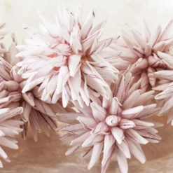 Faux Allium Sphere - Set Of 9 7 Faux Allium Sphere - Set Of 9 -Home Decor Shop webimage 209202507 dtl 1