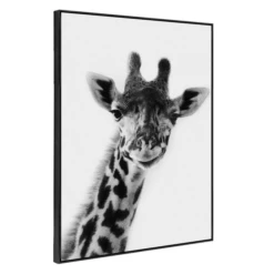 Exotic Animals 4 -Home Decor Shop webimage 630101052 1 jpg