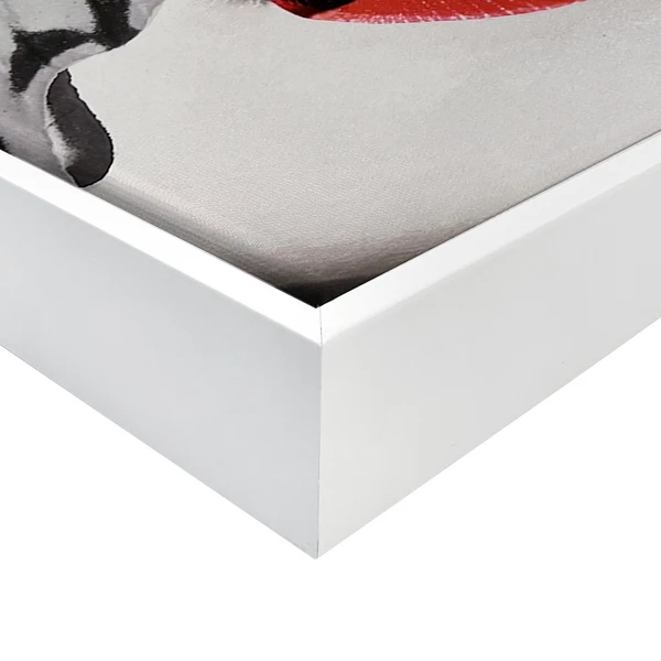 Butterfly Lips 6 Butterfly Lips - Image 4