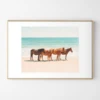 Summer Beach Horses -Home Decor Shop webimage 630336232