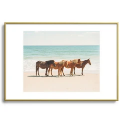 Summer Beach Horses -Home Decor Shop webimage 630336232 SIL